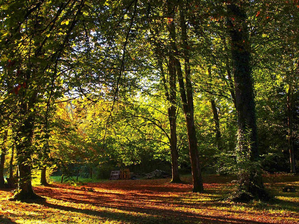 Chambres D'Hotes La Gargaille Alièze Exteriér fotografie